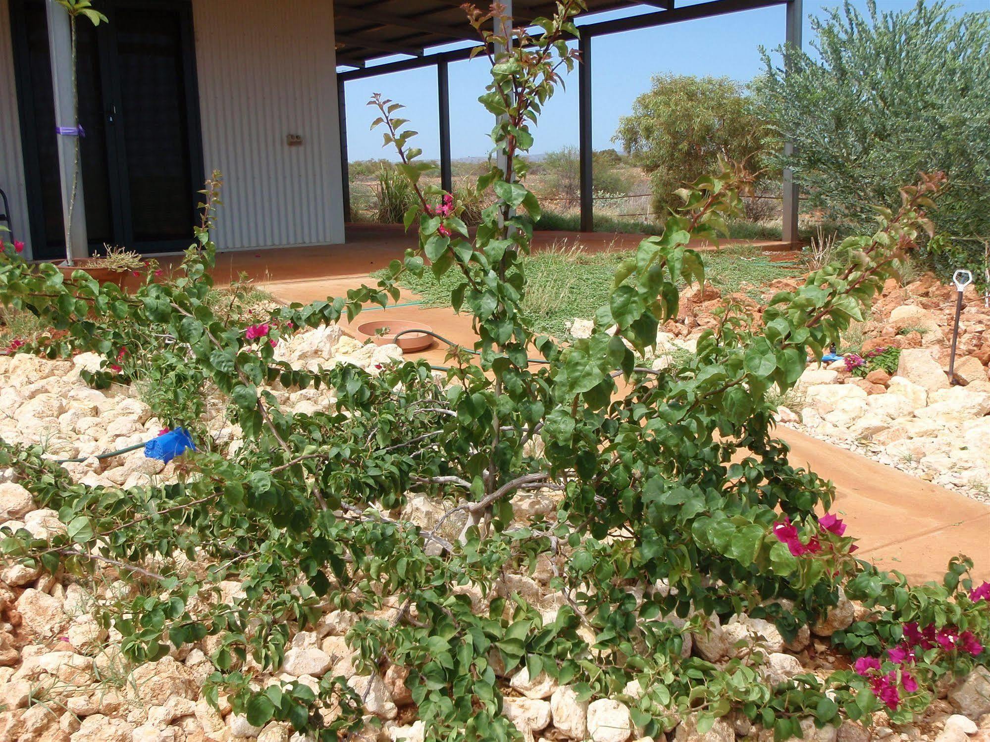 إكسماوث Ningaloo Bed And Breakfast المظهر الخارجي الصورة